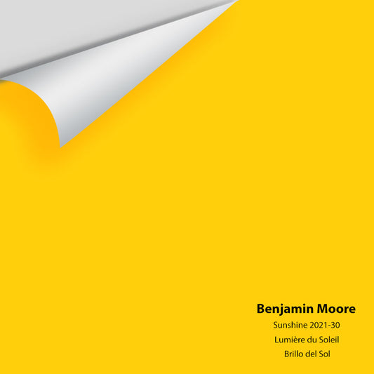 Big Paint Chip - Sunshine 2021-30