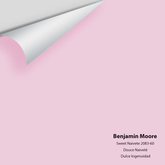 Big Paint Chip - Sweet Naivete 2083-60