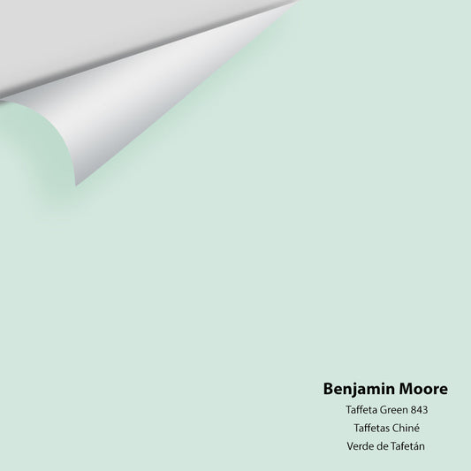 Big Paint Chip - Taffeta Green 843