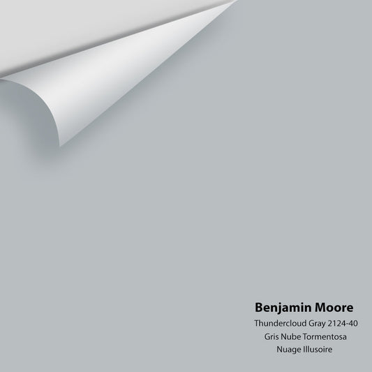 Benjamin Moore - Thundercloud Gray 2124-40 Colour Sample