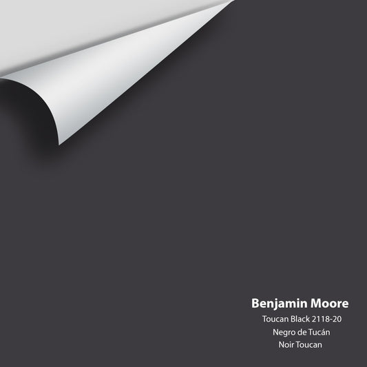 Big Paint Chip - Toucan Black 2118-20