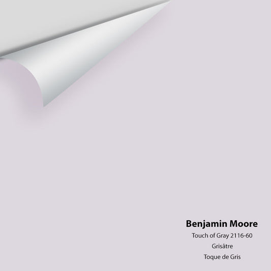 Big Paint Chip - Touch of Gray 2116-60