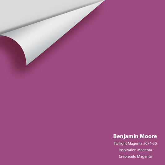 Big Paint Chip - Twilight Magenta 2074-30
