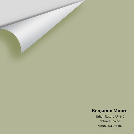 Benjamin Moore - Urban Nature AF-440 Colour Sample