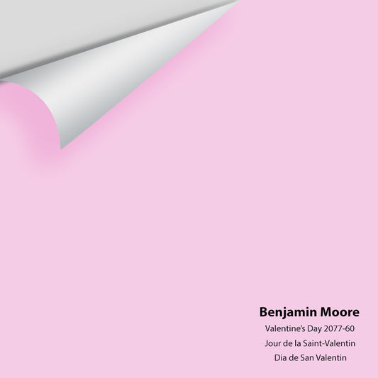 Big Paint Chip - Valentine's Day 2077-60
