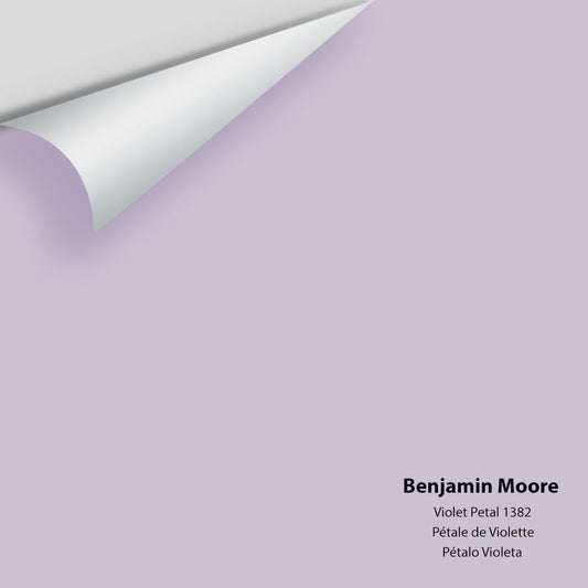 Big Paint Chip - Violet Petal 1382