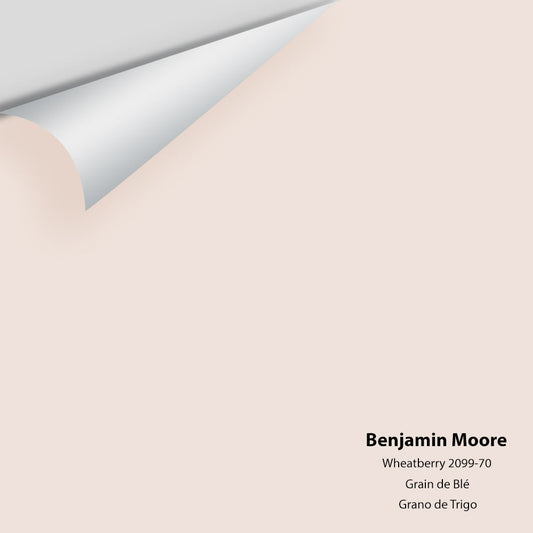 Big Paint Chip - Wheatberry 2099-70