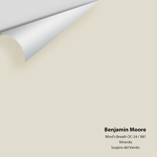Benjamin Moore - Wind's Breath 981 / OC-24 Colour Sample