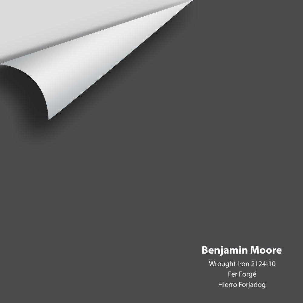 Benjamin Moore - Wrought Iron 2124-10 Colour Sample