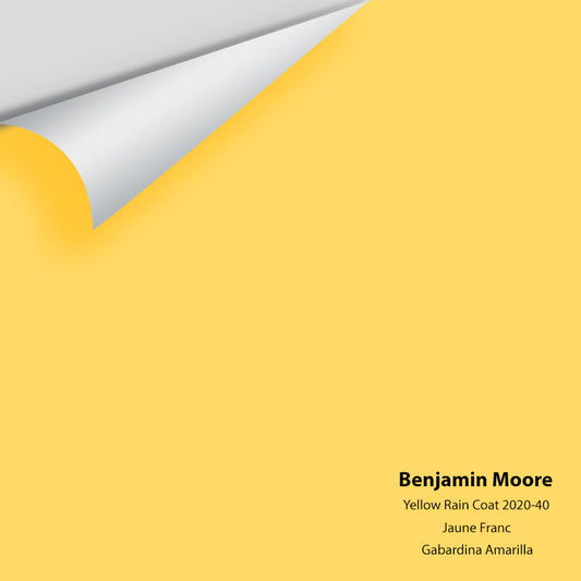 Big Paint Chip - Yellow Rain Coat 2020-40