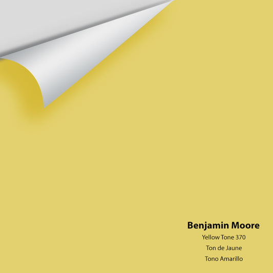 Big Paint Chip - Yellow Tone 370