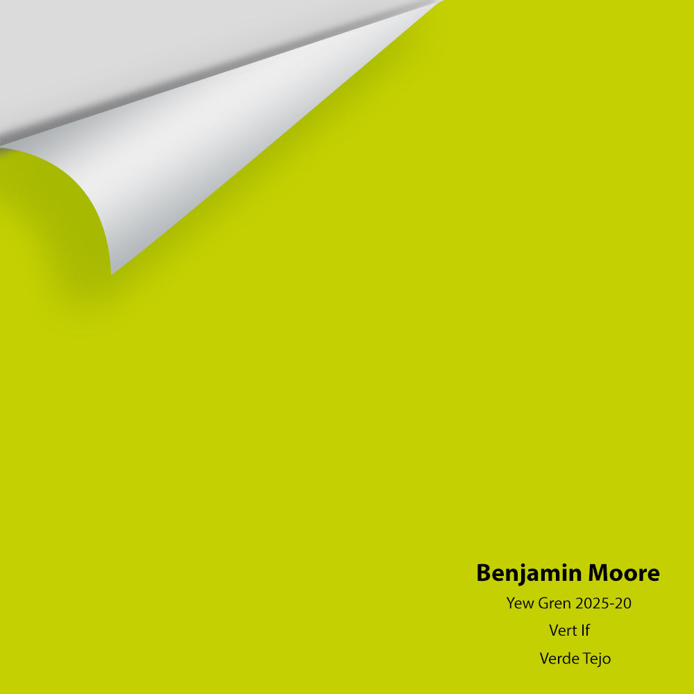 Big Paint Chip - Yew Green 2025-20