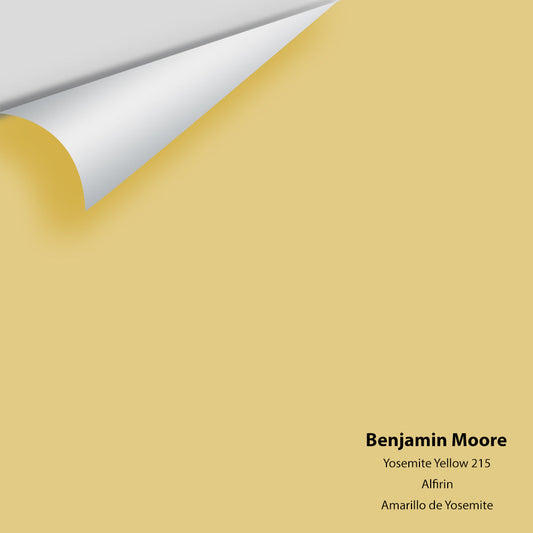Big Paint Chip - Yosemite Yellow 215