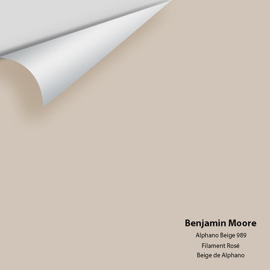 Big Paint Chip - Alphano Beige 989