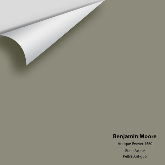 Benjamin Moore - Antique Pewter 1560 Colour Sample