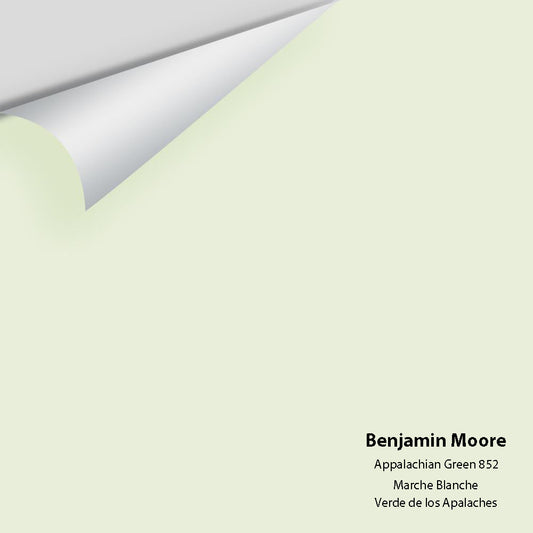 Big Paint Chip - Appalachian Green 852