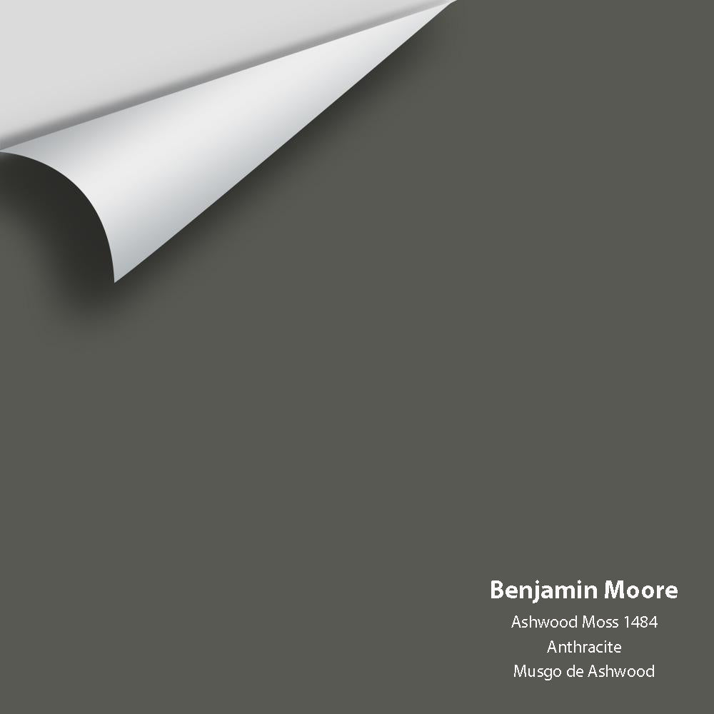 Big Paint Chip - Ashwood Moss 1484