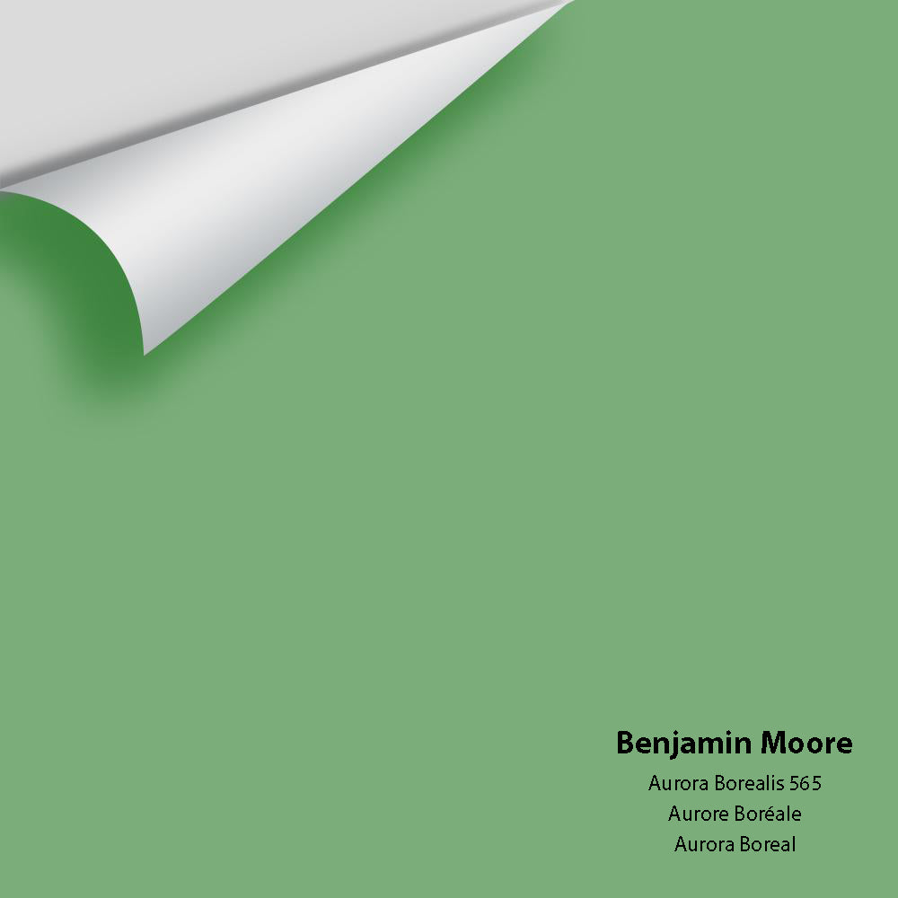 Big Paint Chip - Aurora Borealis 565 – Centerpoint Paint and Decorating