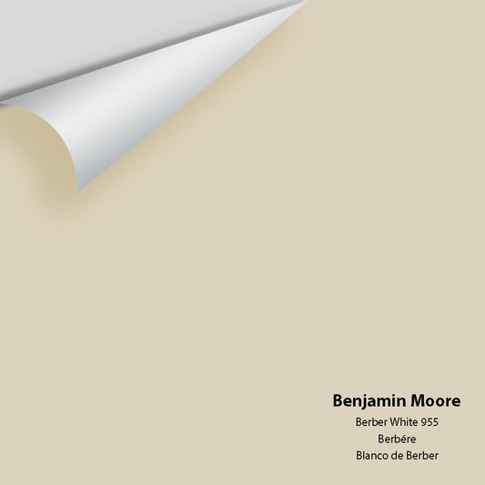Benjamin Moore - Berber White 955 Colour Sample