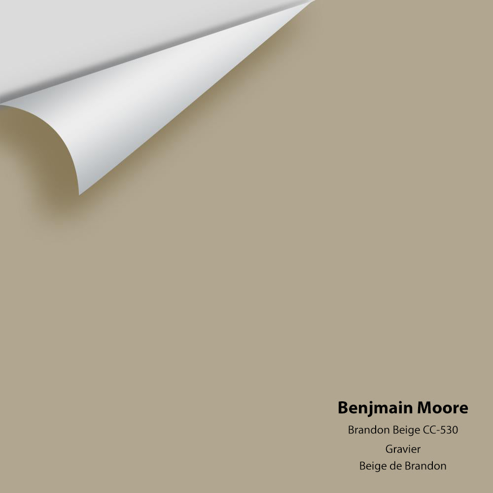 Benjamin Moore - Brandon Beige 977 / CC-530 Colour Sample