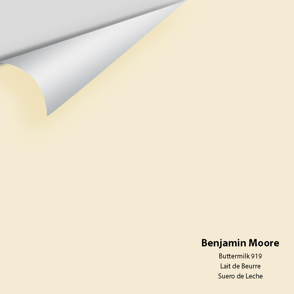 Big Paint Chip - Buttermilk 919