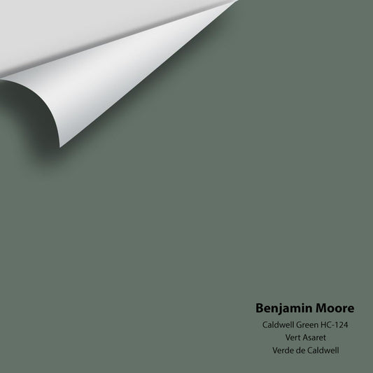 Benjamin Moore - Caldwell Green HC-124 Colour Sample