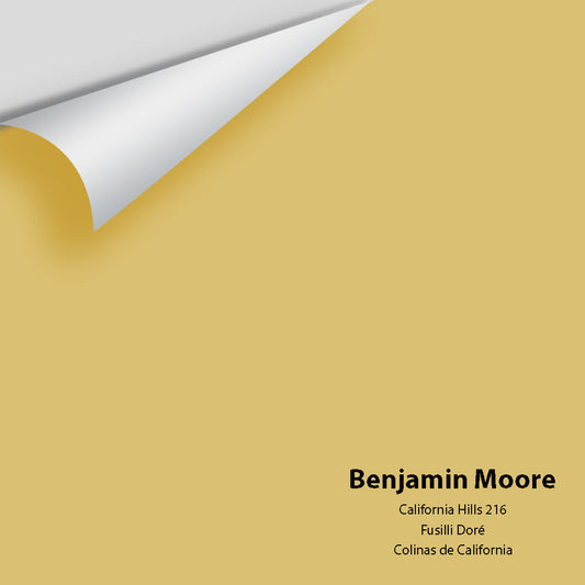 Big Paint Chip - California Hills 216