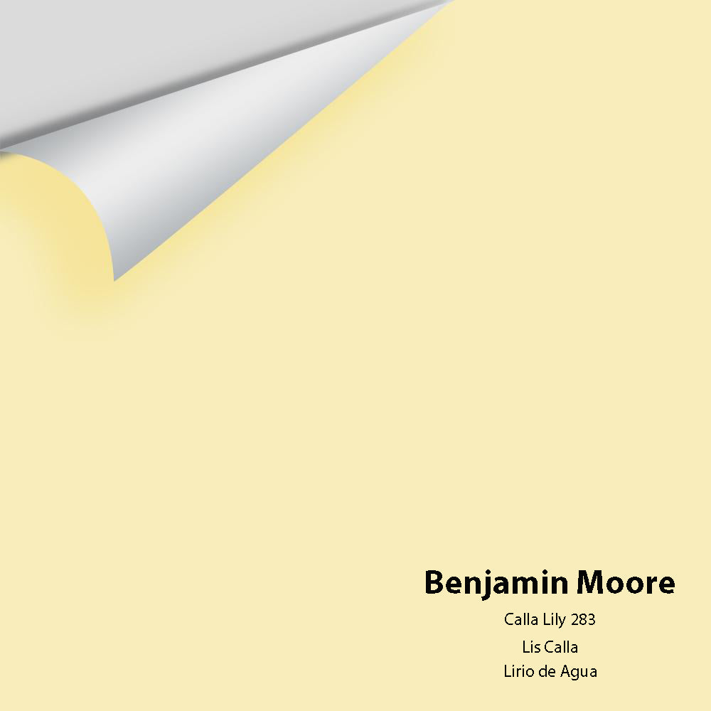 Big Paint Chip - Calla Lily 283