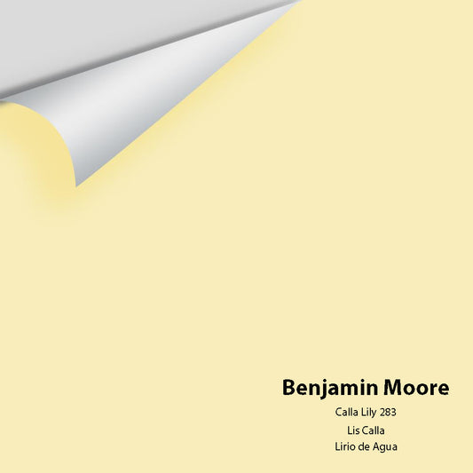 Big Paint Chip - Calla Lily 283