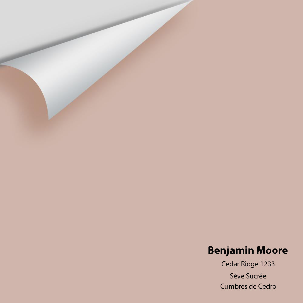 Big Paint Chip - Cedar Ridge 1233