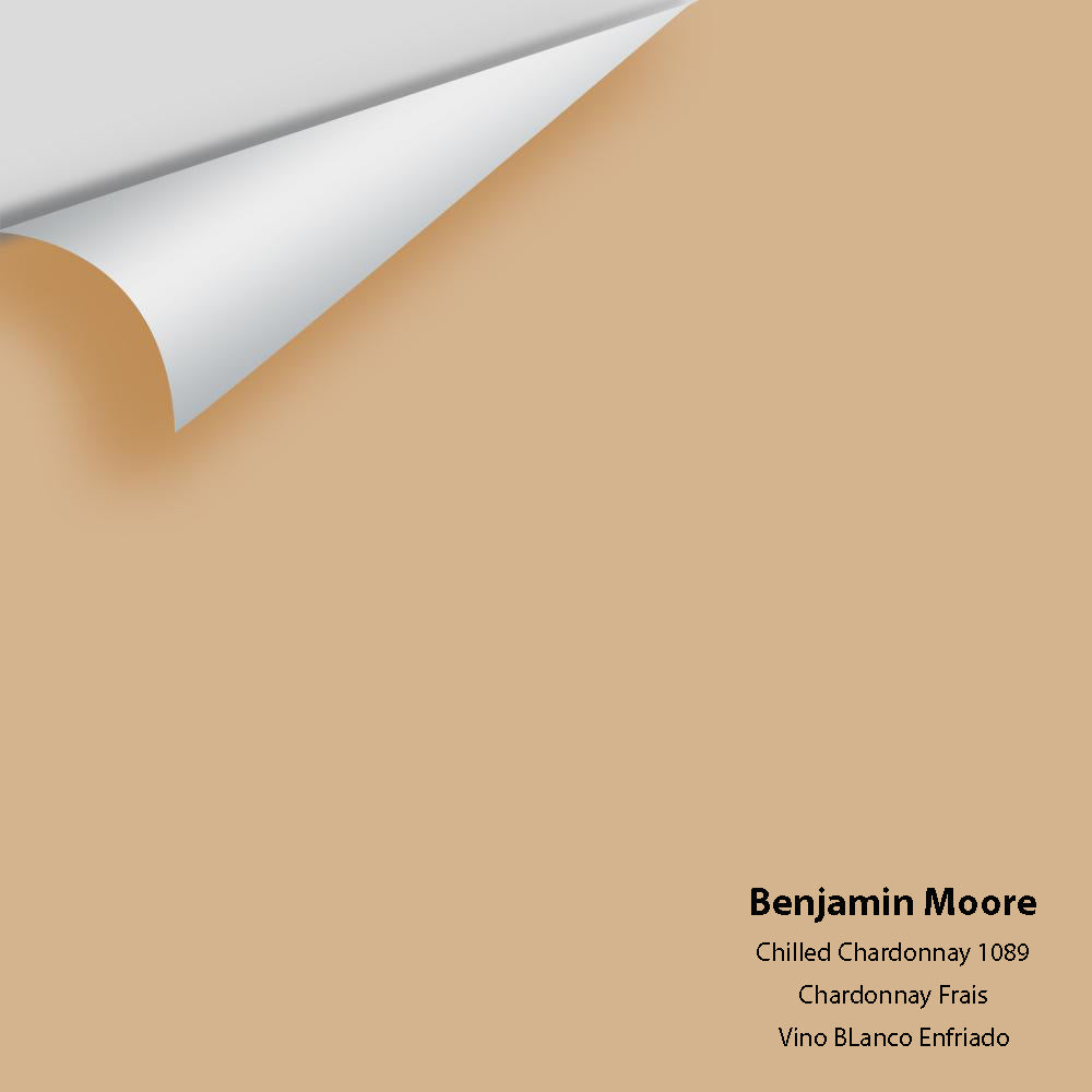 Big Paint Chip - Chilled Chardonnay 1089 – Centerpoint Paint and Decorating
