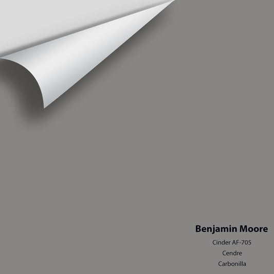 Benjamin Moore - Cinder AF-705 Colour Sample