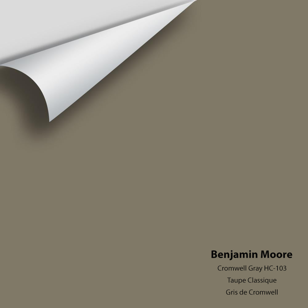 Big Paint Chip - Cromwell Gray HC-103 Colour Sample