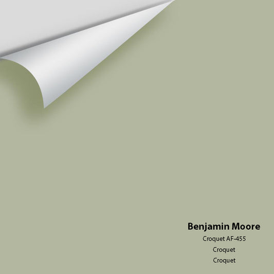 Benjamin Moore - Croquet AF-455 Colour Sample