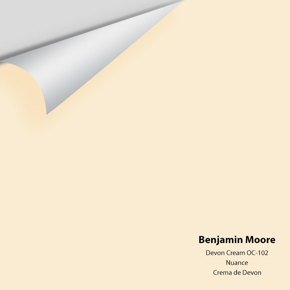Big Paint Chip - Devon Cream 914 / OC-102 – Centerpoint Paint and ...