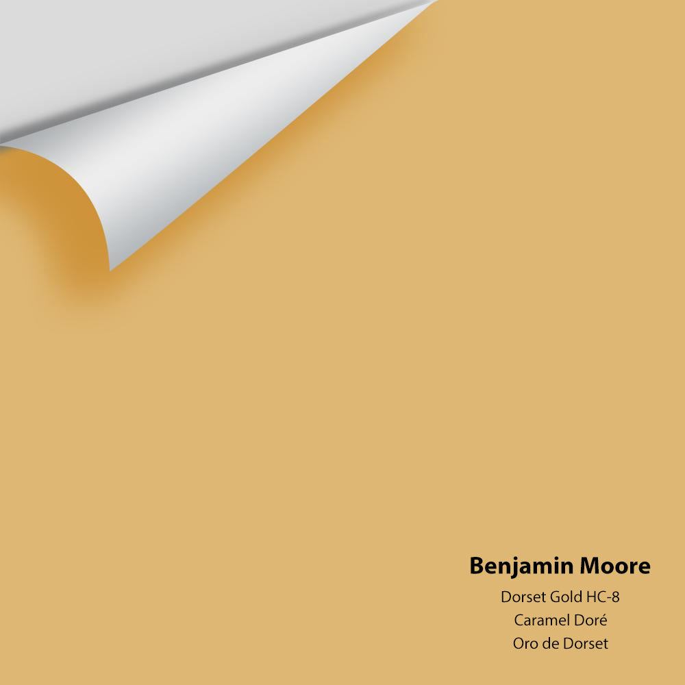 Big Paint Chip - Dorset Gold HC-8