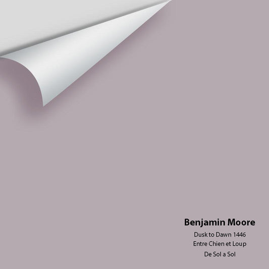 Benjamin Moore - Dusk to Dawn 1446 Colour Sample