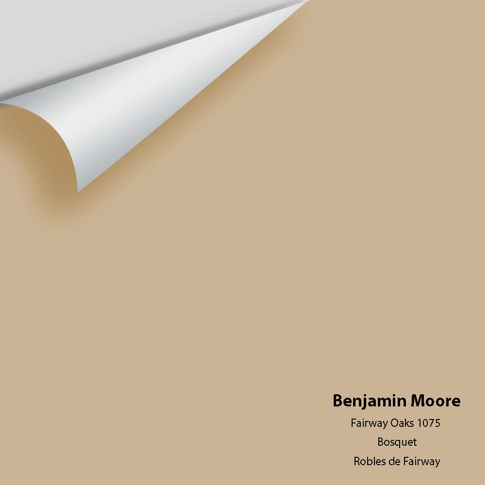 Benjamin Moore - Fairway Oaks 1075 Colour Sample