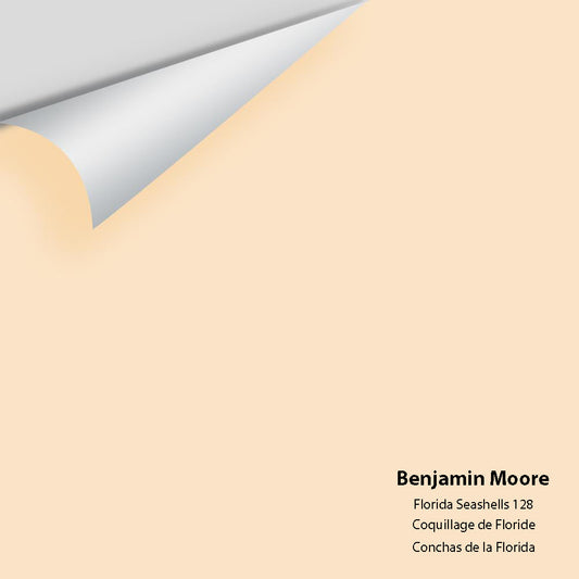 Big Paint Chip - Florida Seashells 128