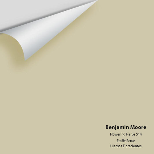 Benjamin Moore - Flowering Herbs 514 Color Sample
