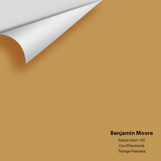 Big Paint Chip - French Horn 195