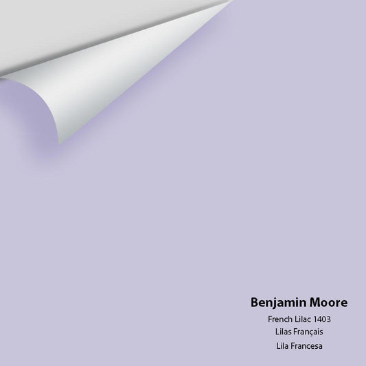 Big Paint Chip - French Lilac 1403