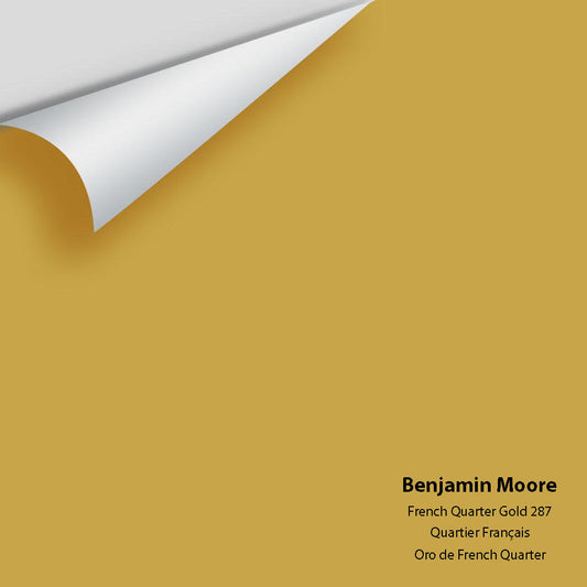 Big Paint Chip - French Quarter Gold 287