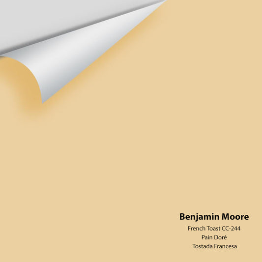 Big Paint Chip - French Toast CC-244