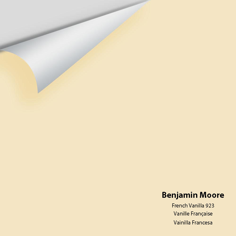 Big Paint Chip - French Vanilla 923