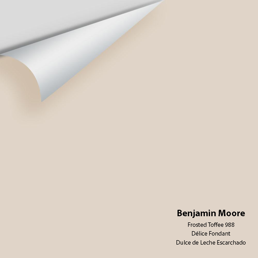 Big Paint Chip - Frosted Toffee 988