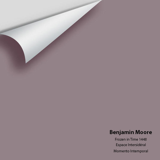 Benjamin Moore - Frozen in Time 1448 Colour Sample