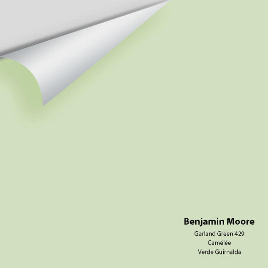 Benjamin moore - Garland Green 429 Colour Sample