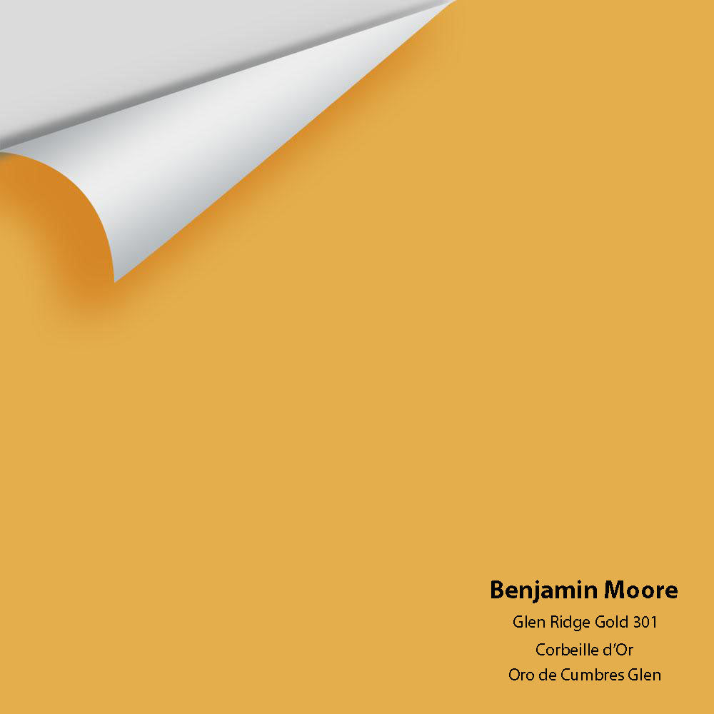 Big Paint Chip - Glen Ridge Gold 301