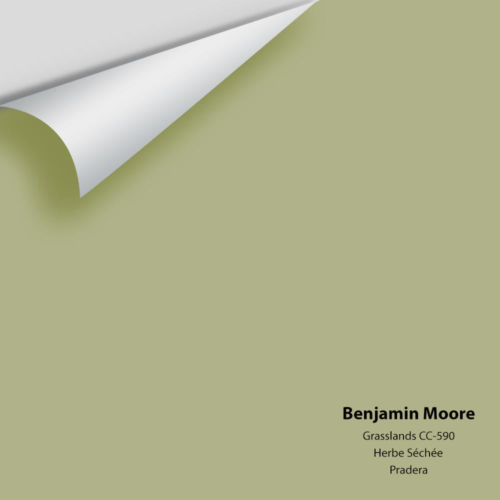 Big Paint Chip - Grasslands 502 / CC-590